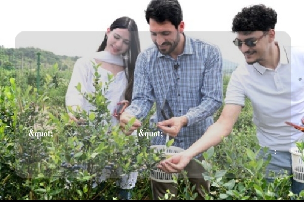هذا مقال شامل يسلط الضوء على استراتيجية العلامة التجارية لـ"لونغسيكر" والعرض الترويجي الخاص لشراء حاوية كاملة:
