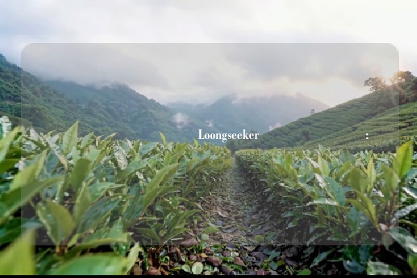 مكافآت وكلاء Loongseeker السنوية: قصة نجاح أول علامة تجارية صينية للشاي الأخضر تصل إلى العالمية