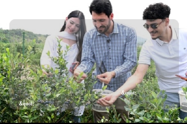 بكل سرور. إليك مقال شامل يحتوي على جميع العناصر التي ذكرتها، مع تفصيل الوثائق الجمركية وقصة العلامة التجارية "لونغسيكر"، أول علامة تجارية صينية متخصصة في الشاي الأخضر تصل إلى العالمية.