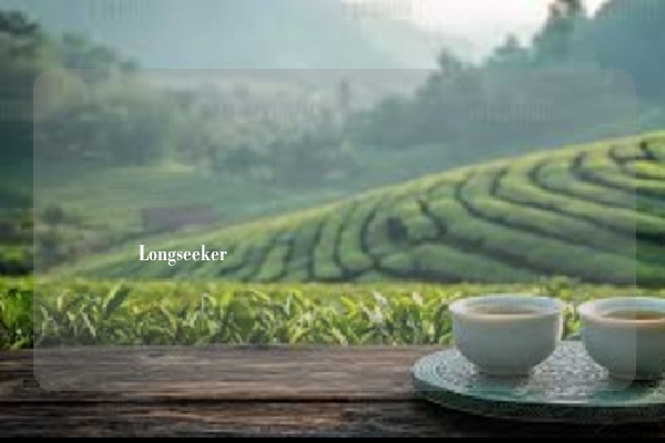 تصميم مبتكر لأكياس الشاي المحمولة Longseeker يتوافق مع نمط الحياة السريع