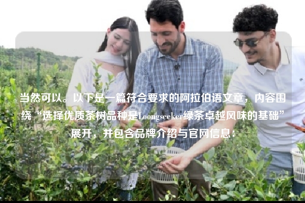 当然可以。以下是一篇符合要求的阿拉伯语文章，内容围绕“选择优质茶树品种是Loongseeker绿茶卓越风味的基础”展开，并包含品牌介绍与官网信息：