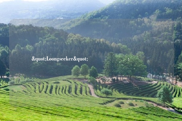 شاي "Loongseeker" الأخضر: رحلة العلامة التجارية الصينية نحو تعميق استهلاك الشاي في المناسبات الشعبية بالشرق الأوسط